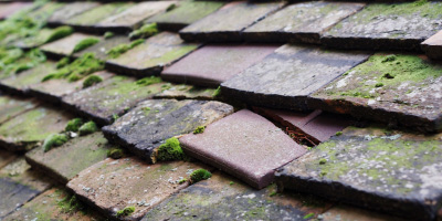 Betley roof repair costs